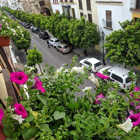 Apartament El Capricho De San Fernando, Consigna Gratis Y Parking A 200Mts Kordoba Zewnętrze zdjęcie