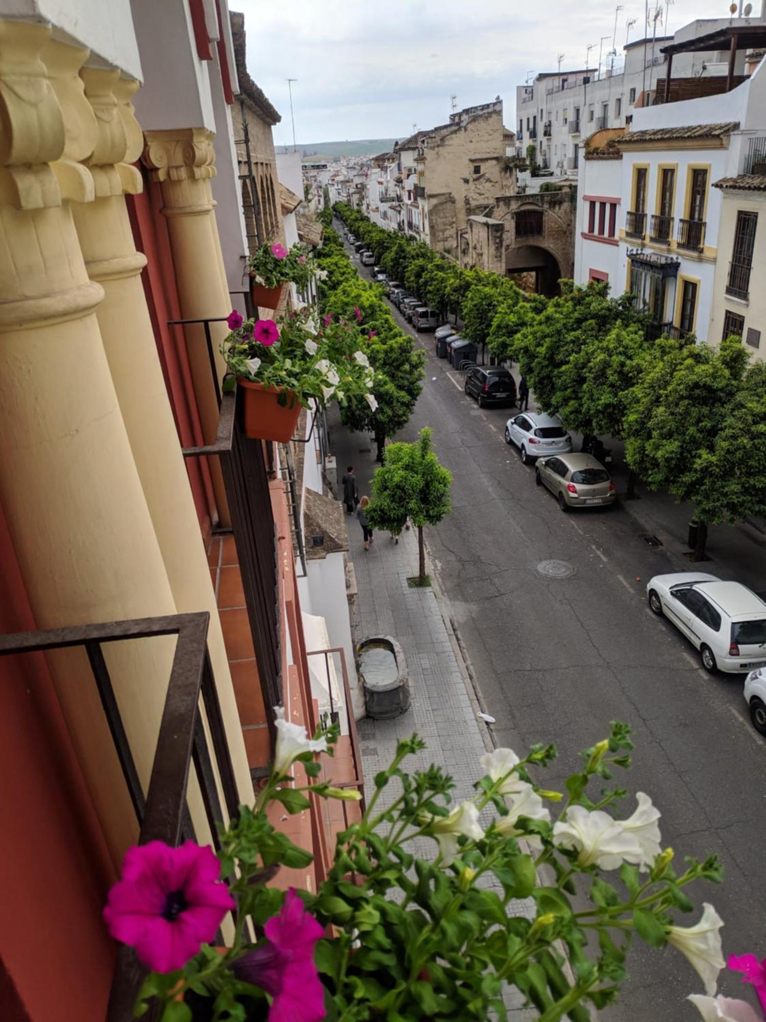 Apartament El Capricho De San Fernando, Consigna Gratis Y Parking A 200Mts Kordoba Zewnętrze zdjęcie