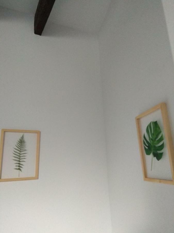 Apartament El Capricho De San Fernando, Consigna Gratis Y Parking A 200Mts Kordoba Zewnętrze zdjęcie
