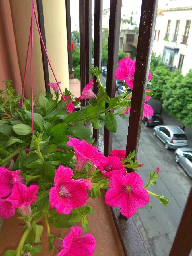Apartament El Capricho De San Fernando, Consigna Gratis Y Parking A 200Mts Kordoba Zewnętrze zdjęcie